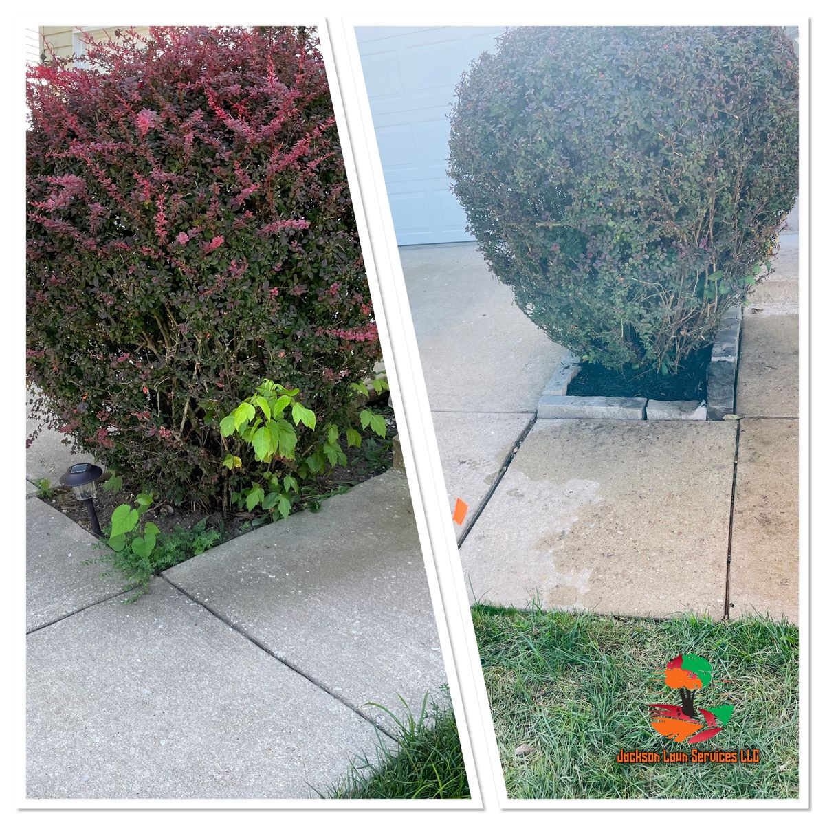 Hedge Trimming for Jackson Lawn Services LLC in St Louis, MO