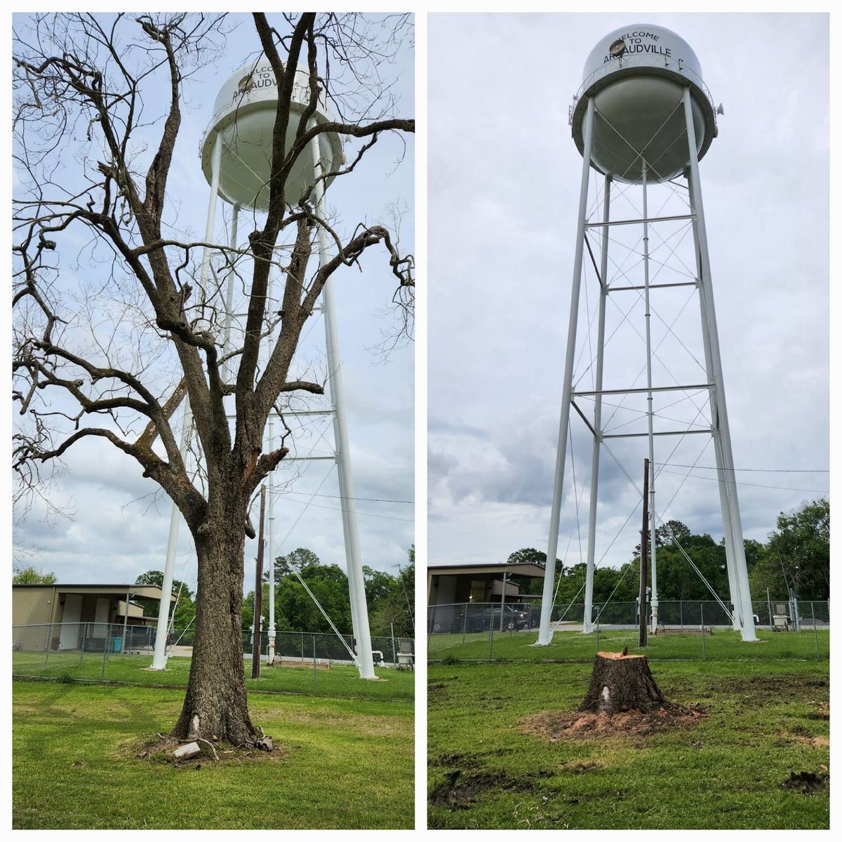 Tree Removal for Ken's Elite Cutters LLC  in Breaux Bridge, LA