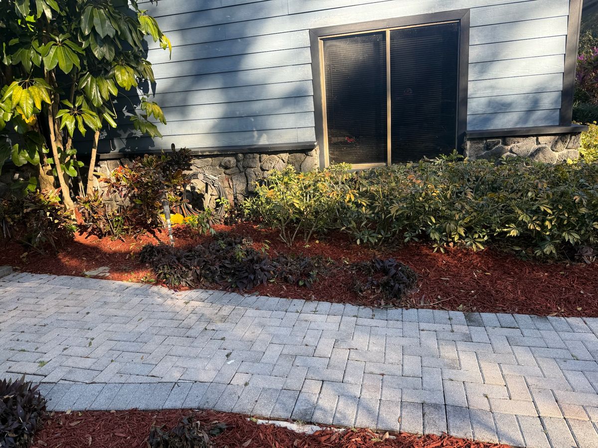 Fall Clean Up for Amerigrown Tree And Lawn in Apopka, FL