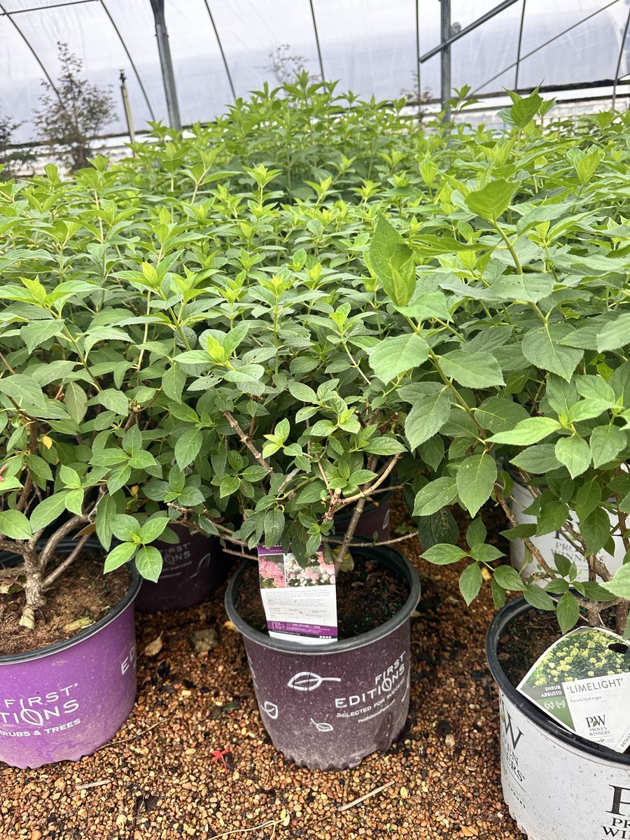 Landscape Installation for Atlas Land Design in Creekside Park, TX