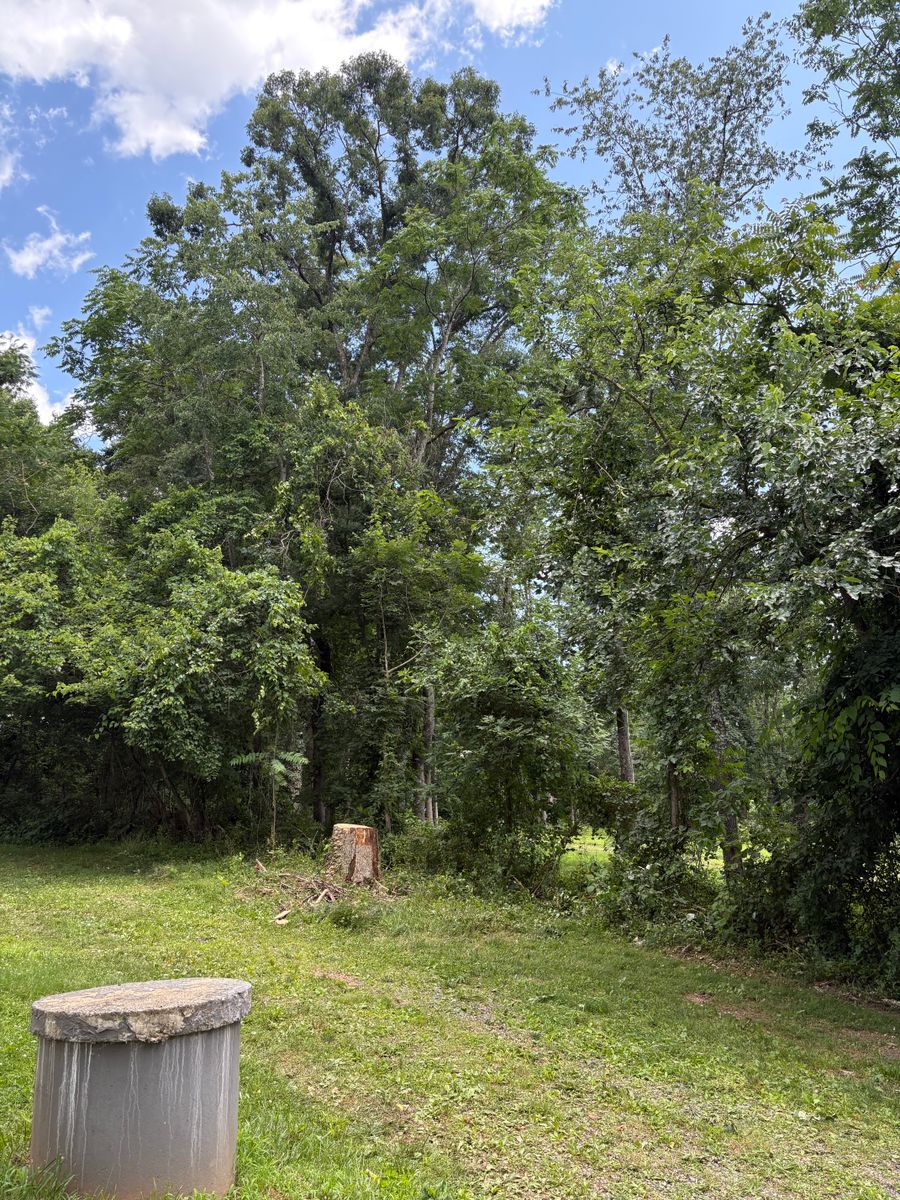 Tree Services for Mountainside Property Services LLC in Warrenton, VA