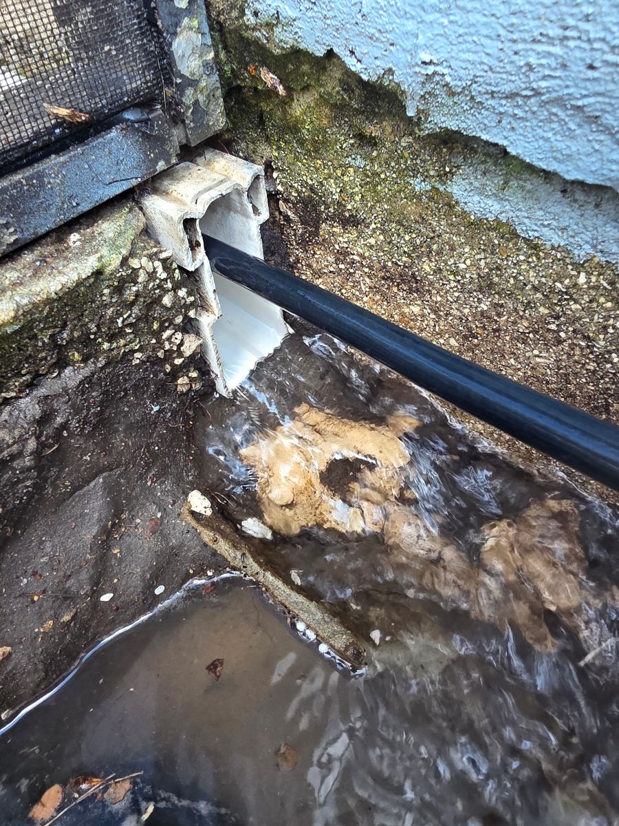 French Drain Installation for Sam's French Drains and Landscape in Orlando, Florida