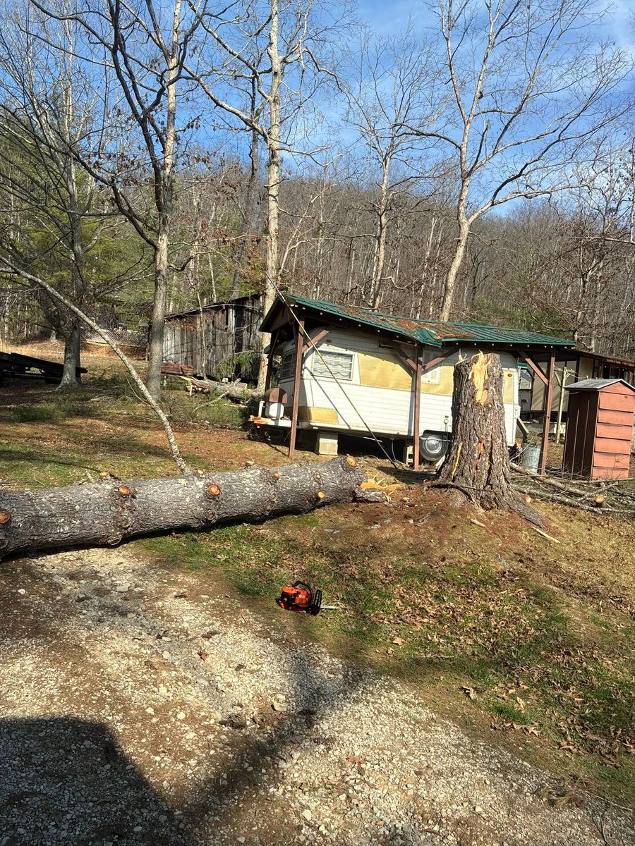 Tree Removal for Skys The Limit Tree Management in Morehead, KY