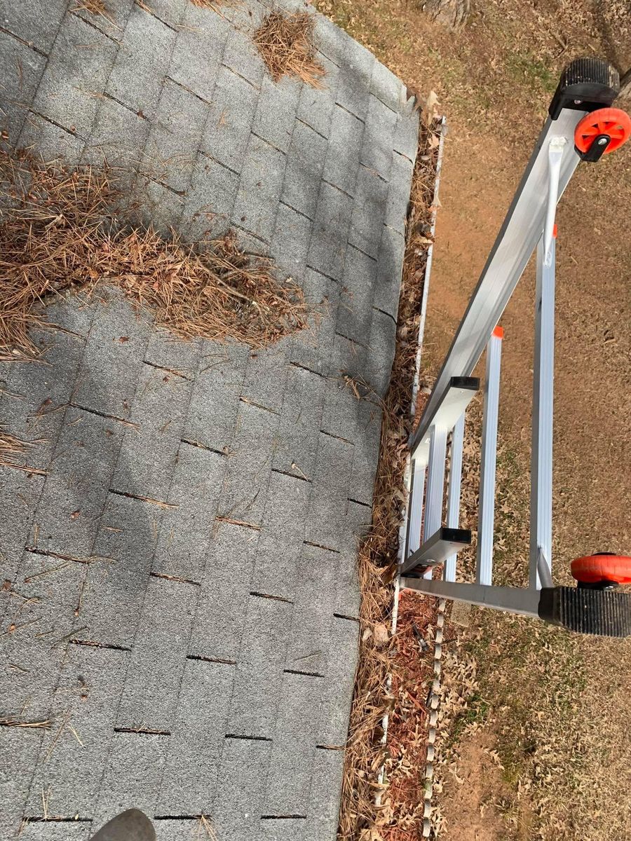 Leaf Clean Up for America's Top Pick Lawn & Landscaping in Gastonia, NC