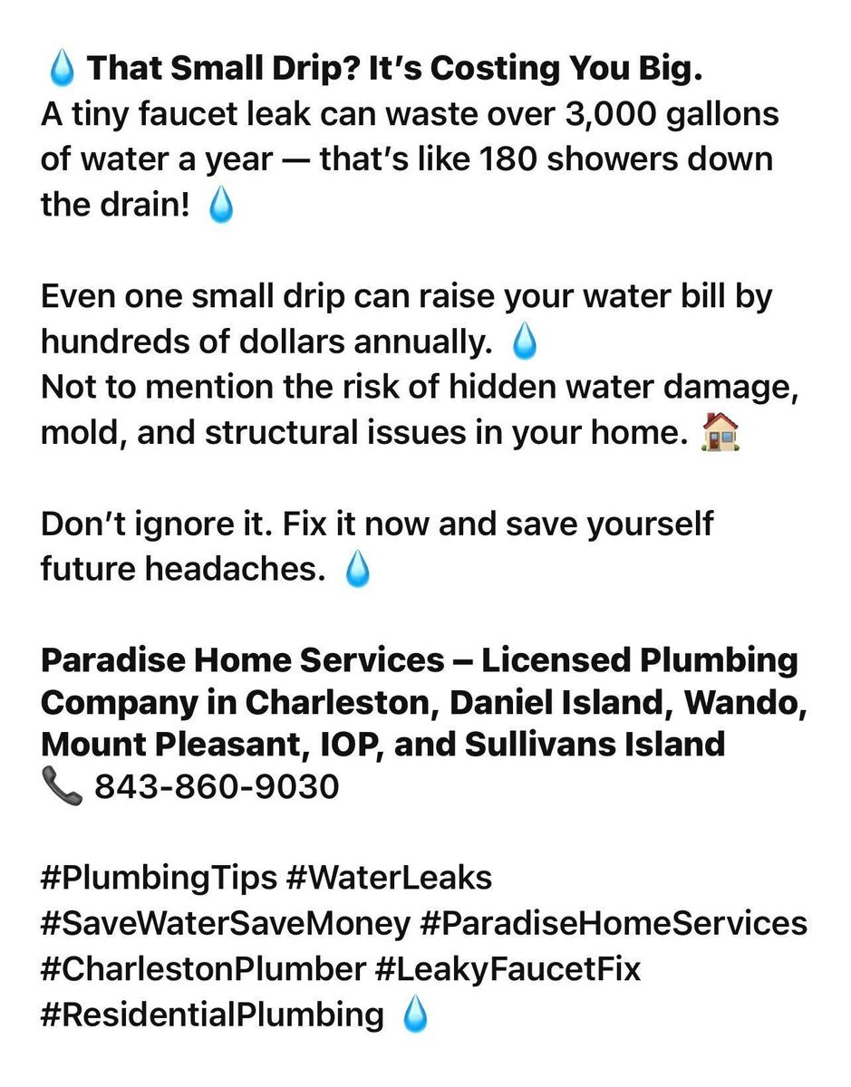 Plumbing Repairs for Paradise Home Services LLC in Charleston, SC