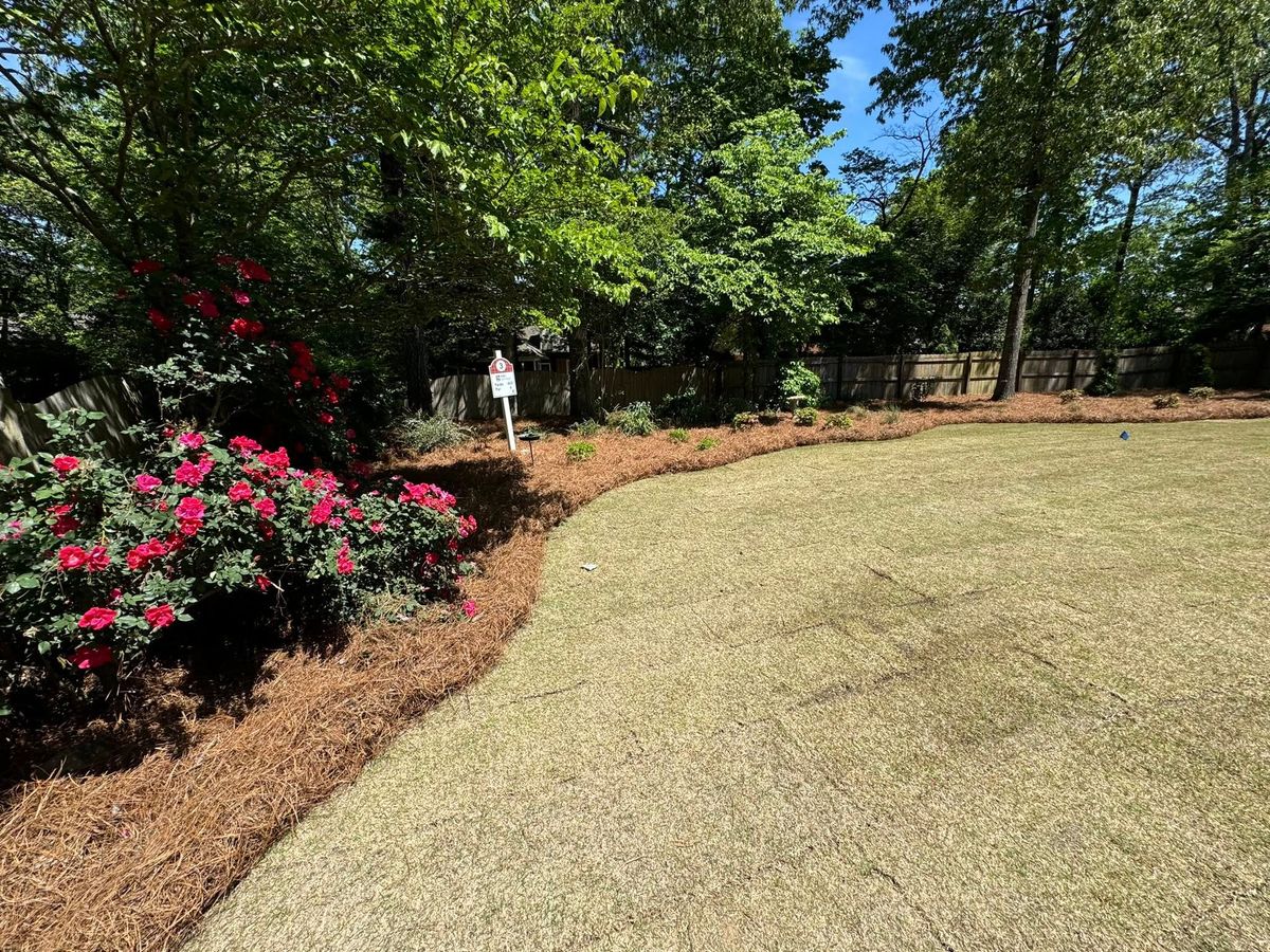 Pinestraw for Trophy Outdoor Solutions in Lexington, SC