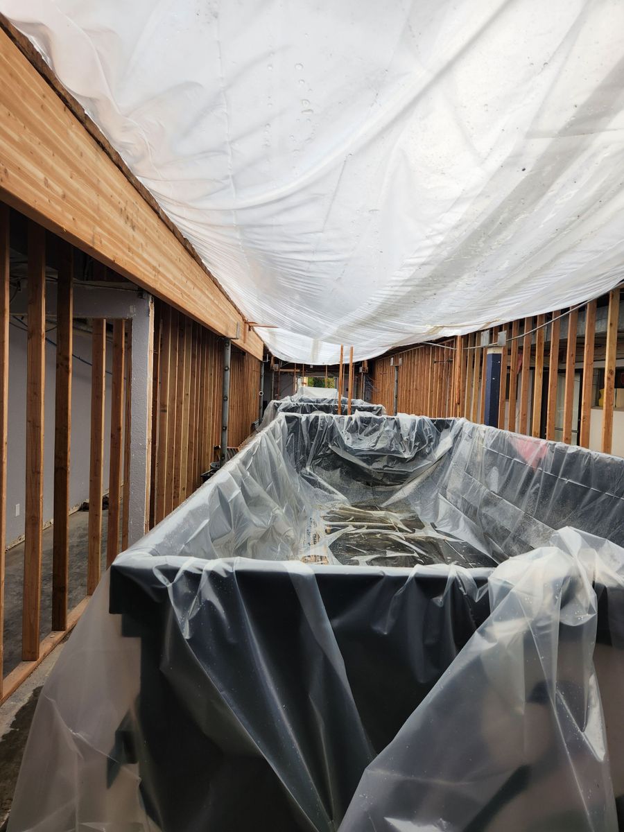 Framing for Ant Farm Construction in Kingman, AZ