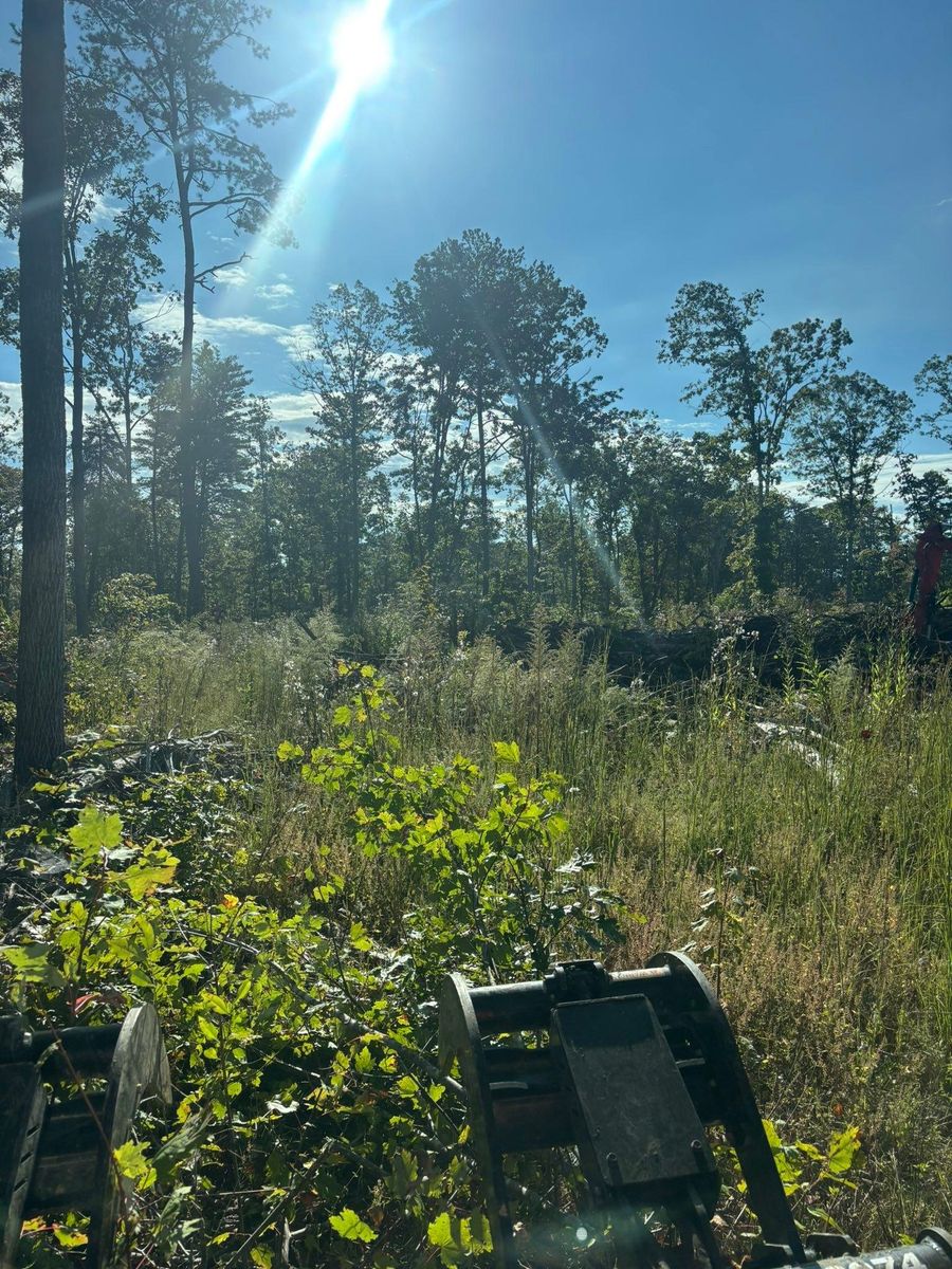 Forestry Mulching for TD Dirtworks in Tracy City, TN