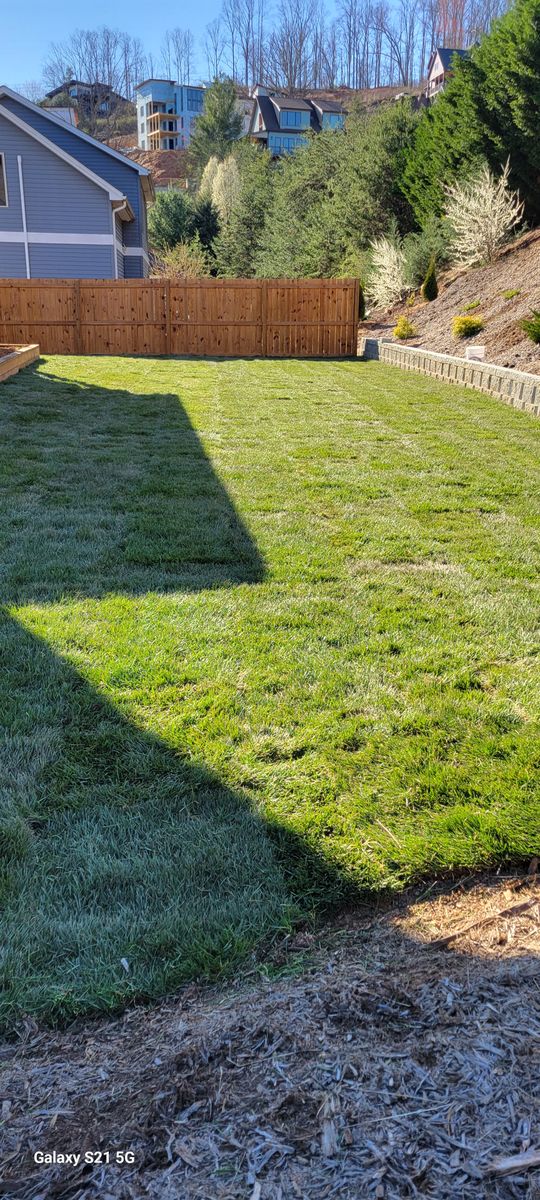 Sod installation for C4 TrueVision Renovations in Asheville, NC