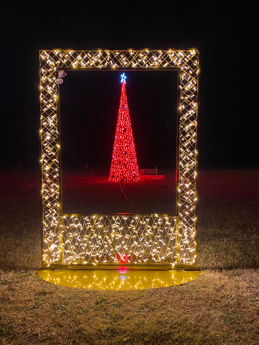 Holiday Lighting for Elite Lighting Solution in Midlothian, VA