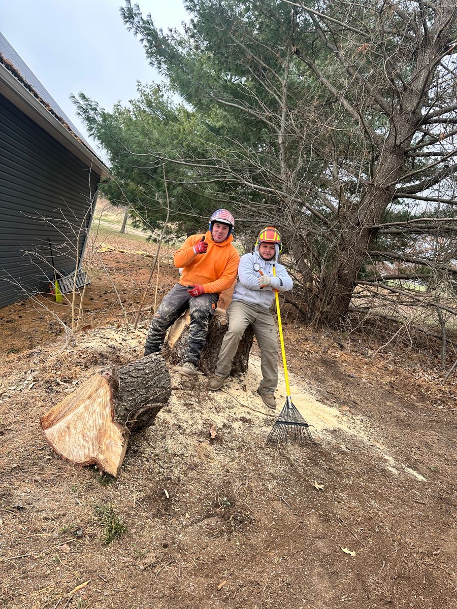Stump Removal for Cross Family Tree Service in Kearney, MO