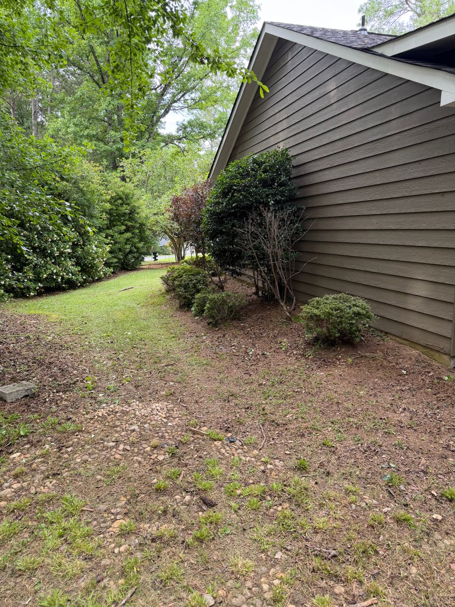 Shrub Trimming for Fantastic Lawn Care LLC in Fayetteville, GA
