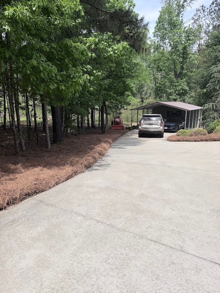 Tree & Shrub Care for Buddy’s Outdoor Solutions in Rome, GA