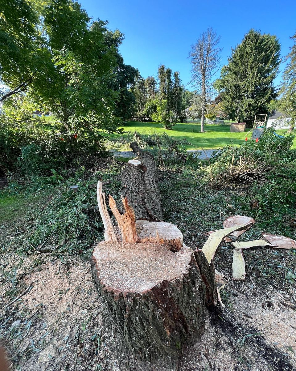 Tree Removal for Mark's Multiple Landscaping in Pittsburgh, PA