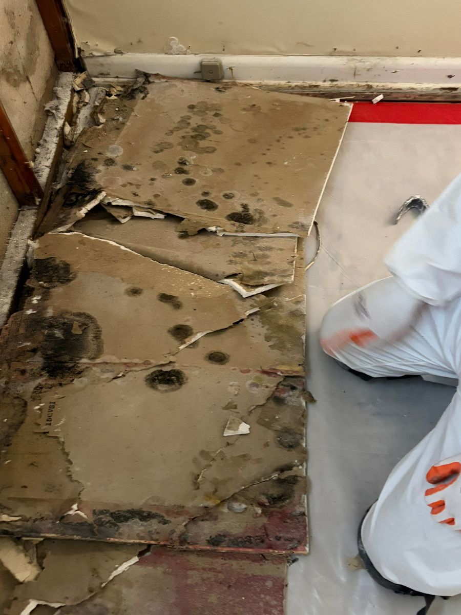 Mold Remediation for ACM Environmental in Salt Lake City, UT
