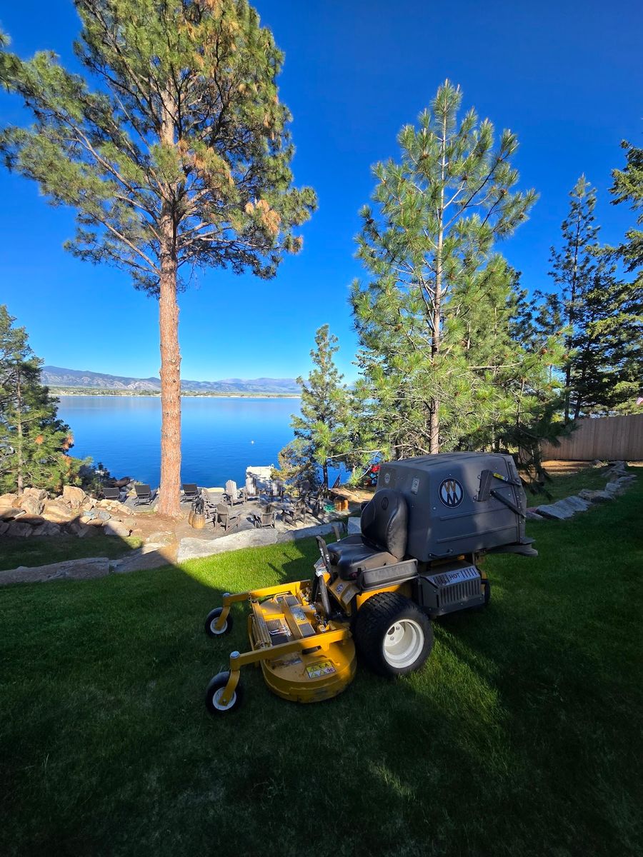 Small Tree Trimming (12 ft) for Eagle Bay Lawn & Landscape LLC in Helena, MT
