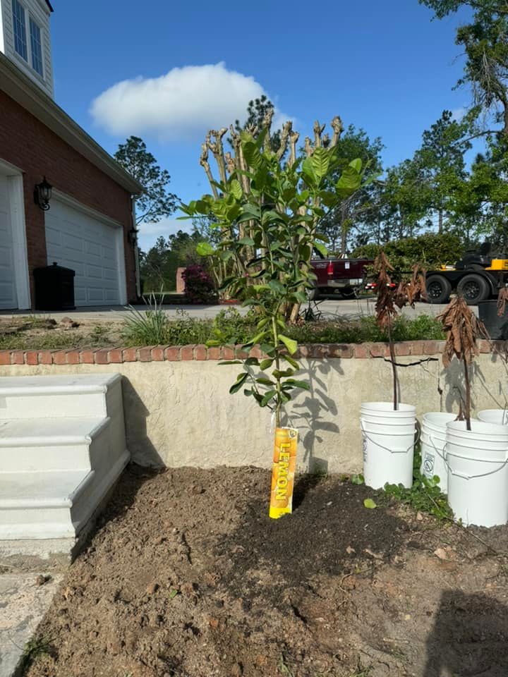 Hardscape Installation for Sierra Verde Landscaping in Vidalia, GA