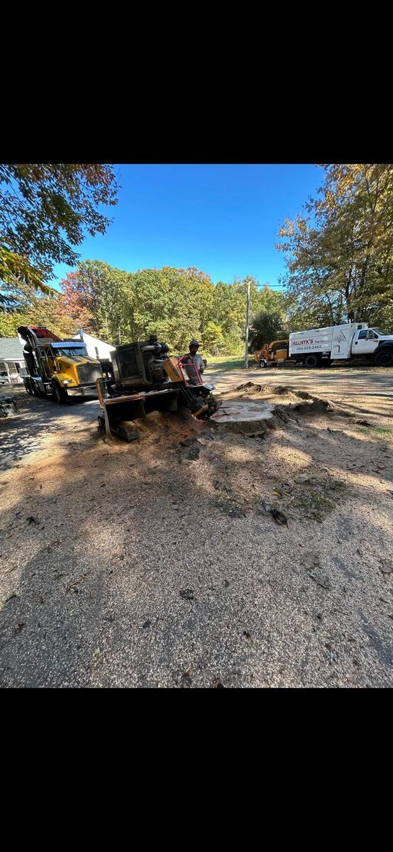 Stump Removal for Melnyk’s Tree Service in Salem County, NJ