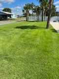 Sod Installation for Roberts Lawn & Landscape in Cross City, FL