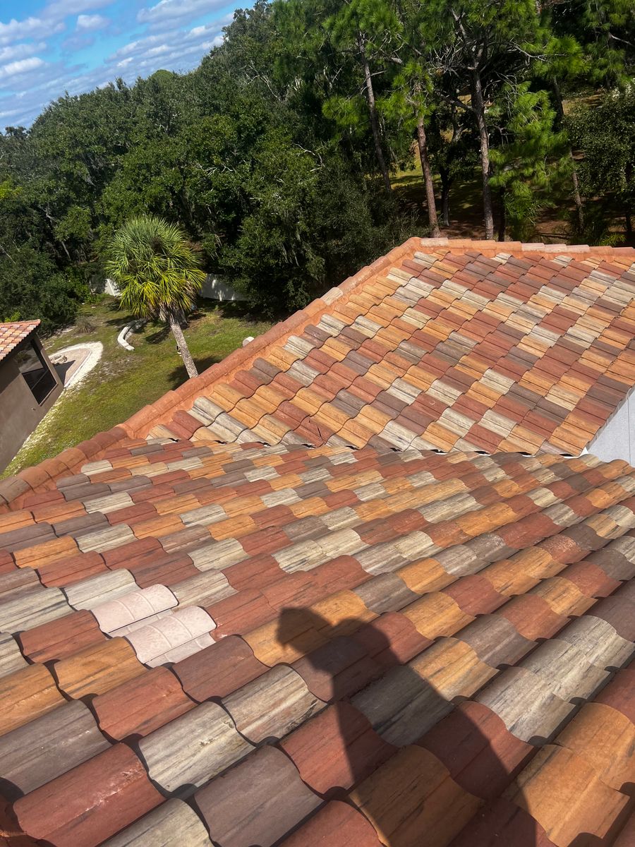 Roof Cleaning for Barr None Wash Pro in Tampa, FL
