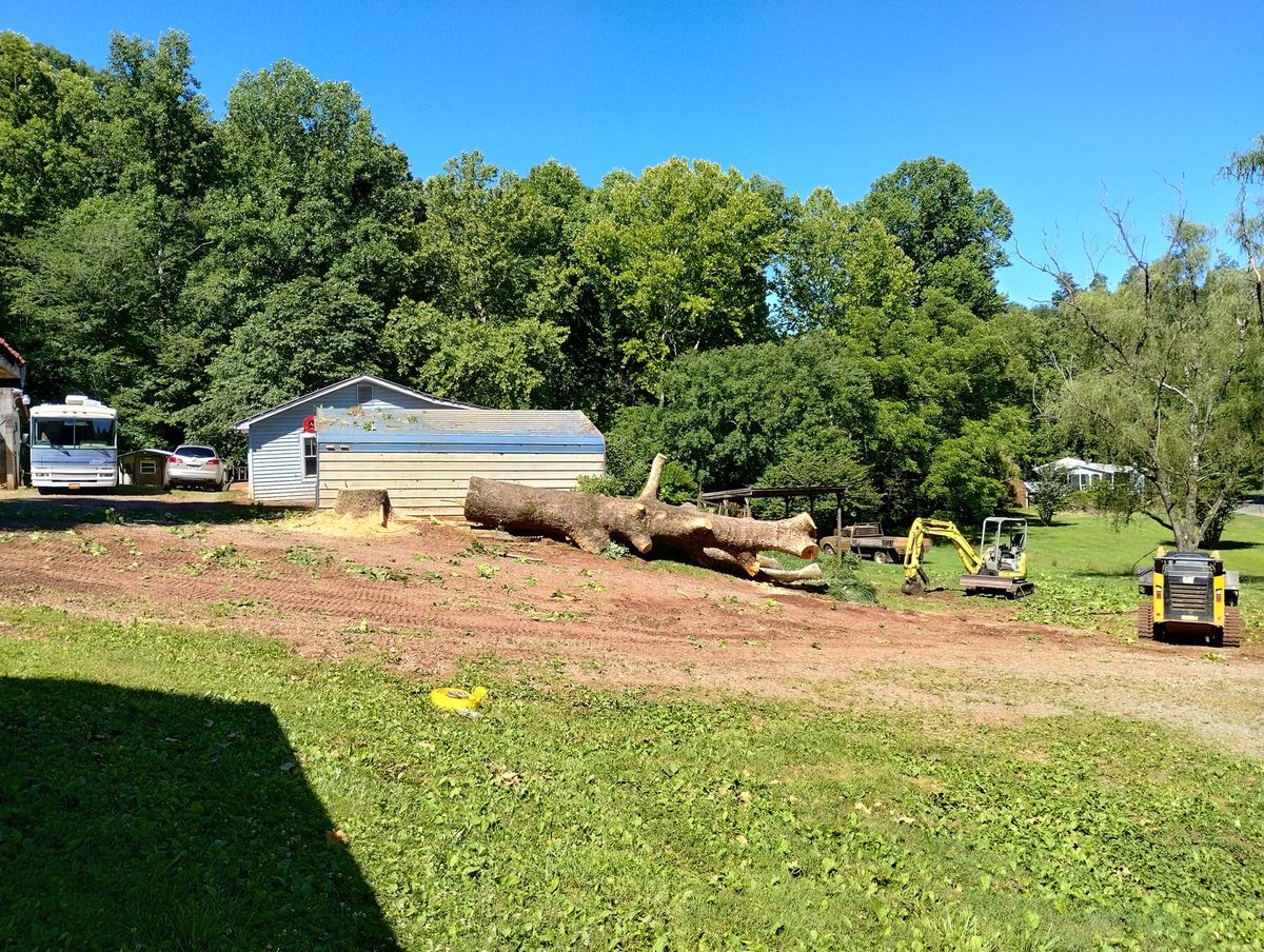 Tree Experts for Scott's Tree Service in Athens, TN