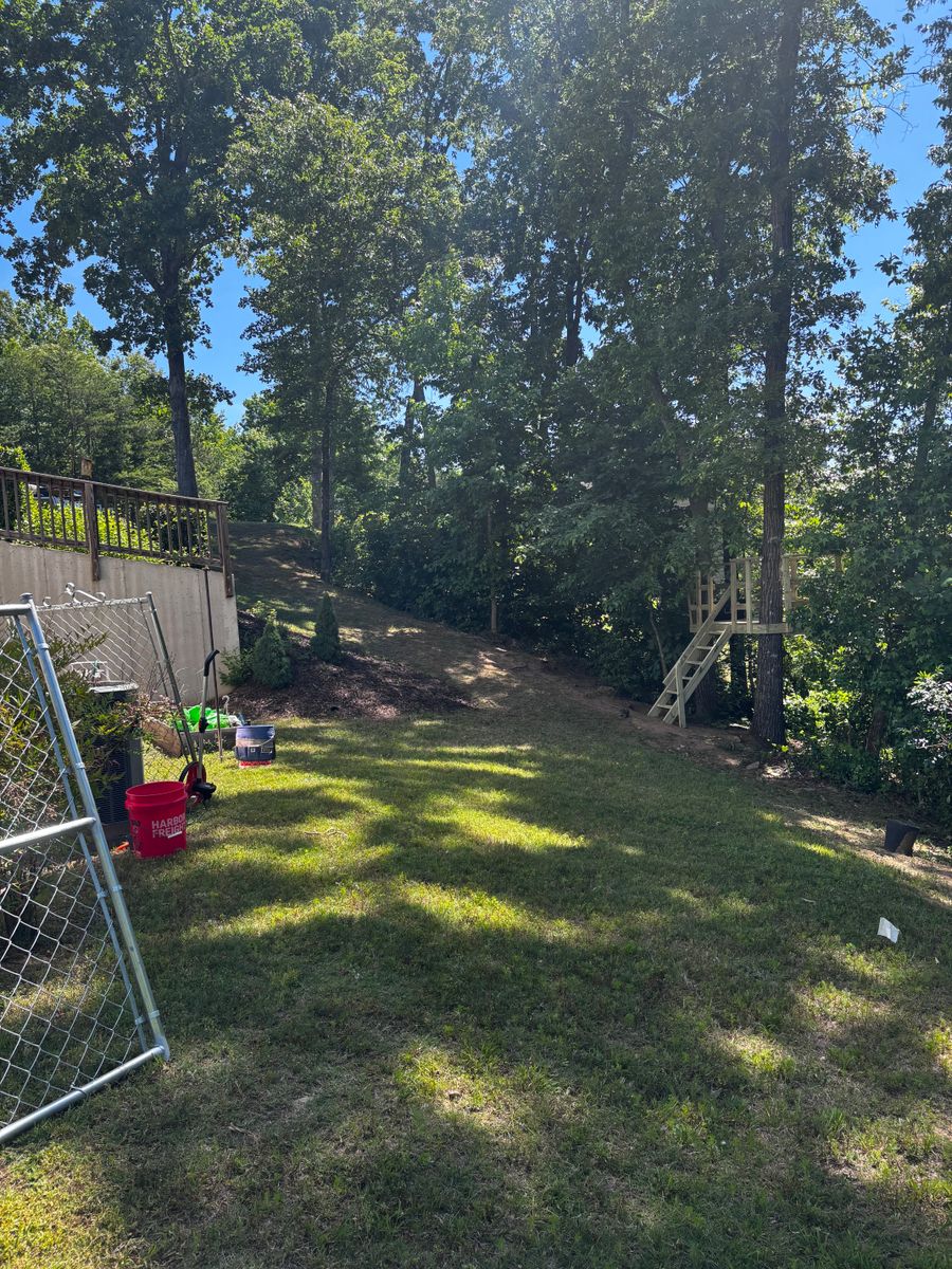 Chainlink Fences for Alpine Fence in Dahlonega, GA