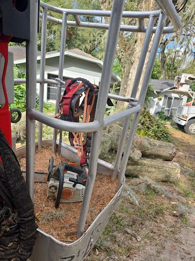 Tree Trimming for Near Me Tree Service, Inc. in DeLand, FL