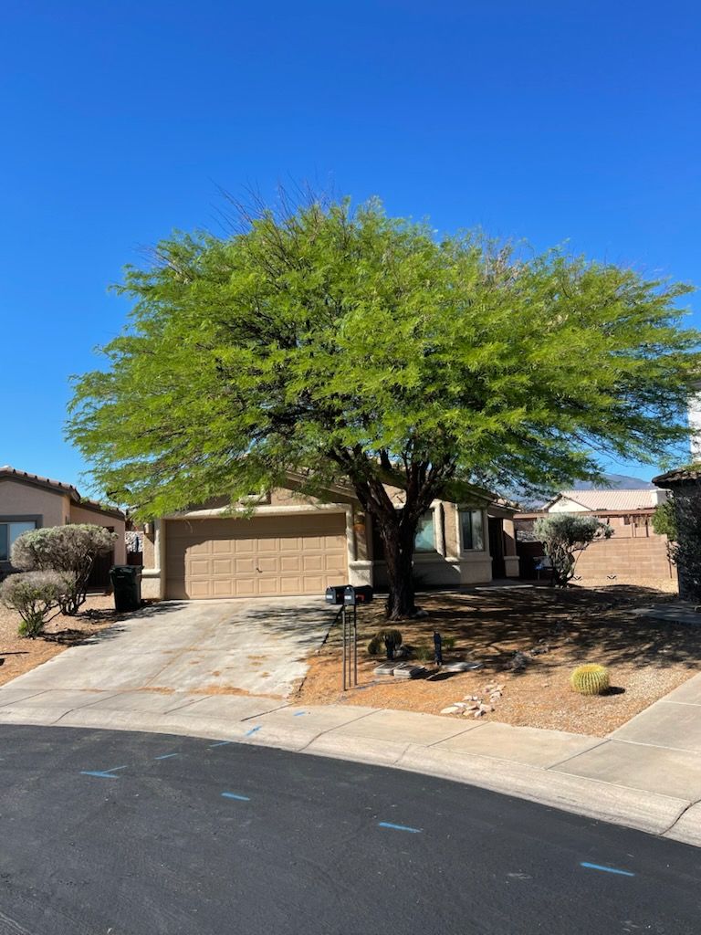 Tree Trimming for A to Z Grounds Keeping in Sierra Vista, AZ