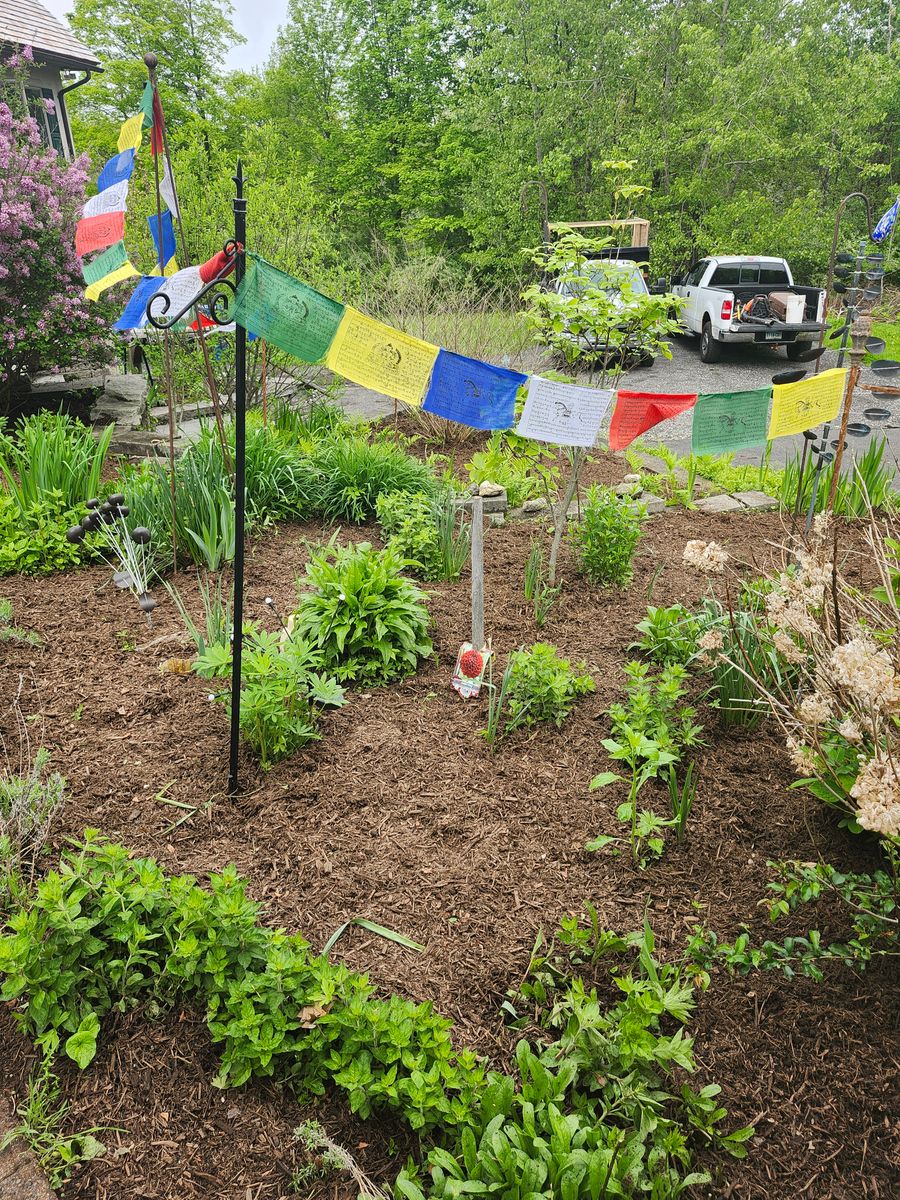 Landscape Installation for Landscape Innovations LLC in Torrington, CT