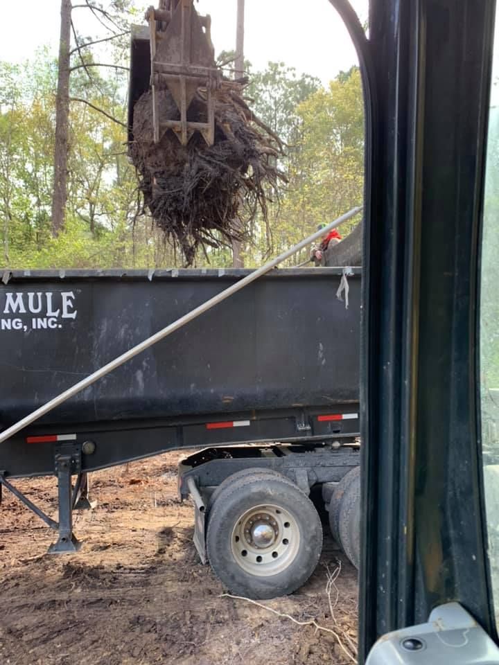 Debris Removal for Davis Contracting & Site Work in Adams Run, SC