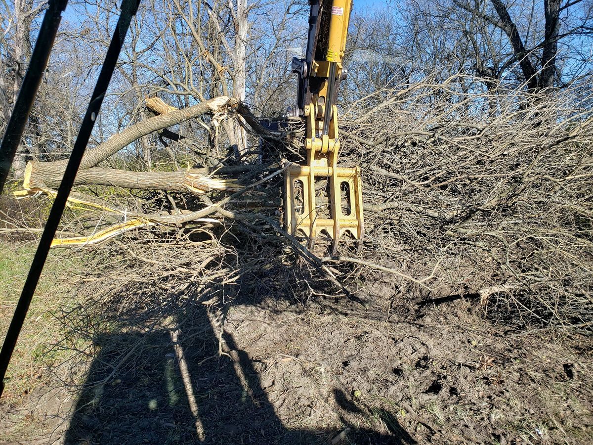 Tree Line Cleanups for BDS Trucking & Excavating in Litchfield, IL