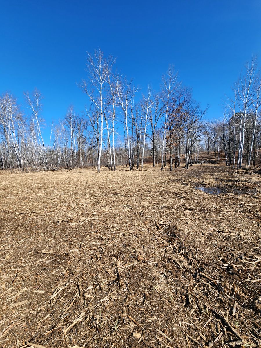 Forestry Mulching & Brush Mowing for Northern Ridge Landscape - Dock & Lift Service in McGregor, MN
