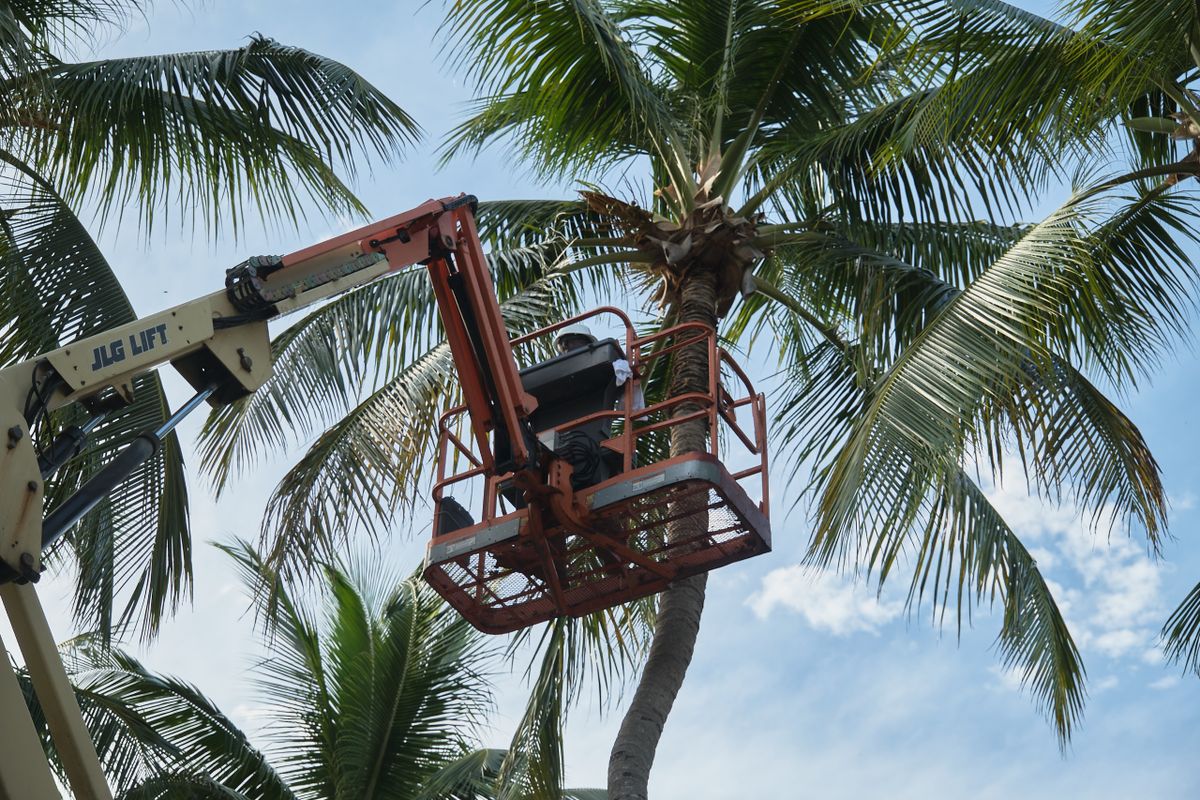 Maintenance for Arazoza Brothers Corporation in Miami, FL