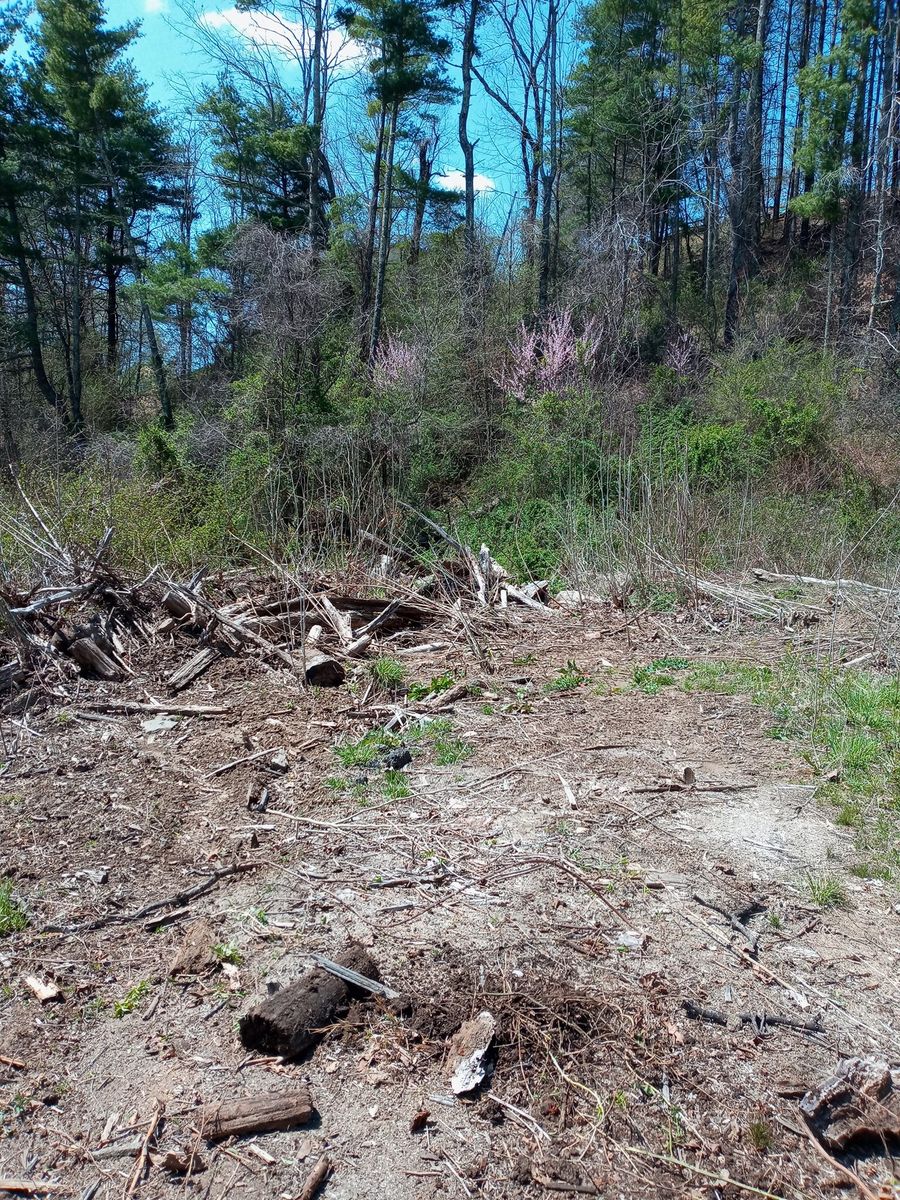 Sewer Line Replacement for Quality Land Management and septic service in Green Mountain, NC