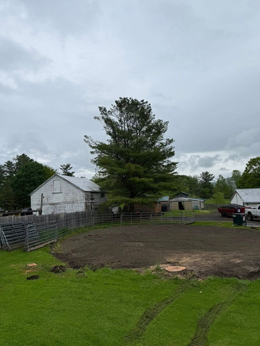 Stump Removal for Sterlings Tree Removal in Cobleskill, New York