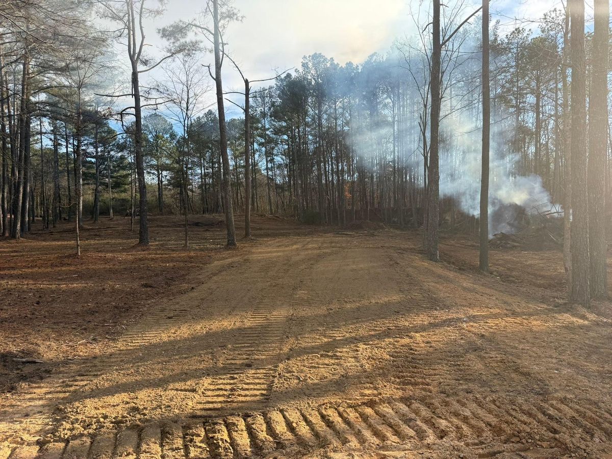 Forestry Mulching for Collins Constructors in Fyffe, AL