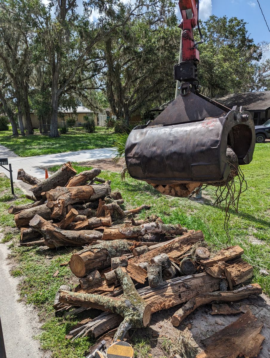 Debris Removal for Regal Tree Service and Stump Grinding in Wauchula, FL