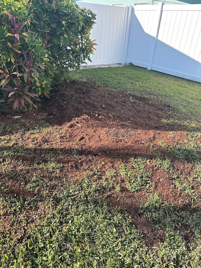Stump Removal for Busy Beaver Stump Removal, Inc in Clearwater, FL