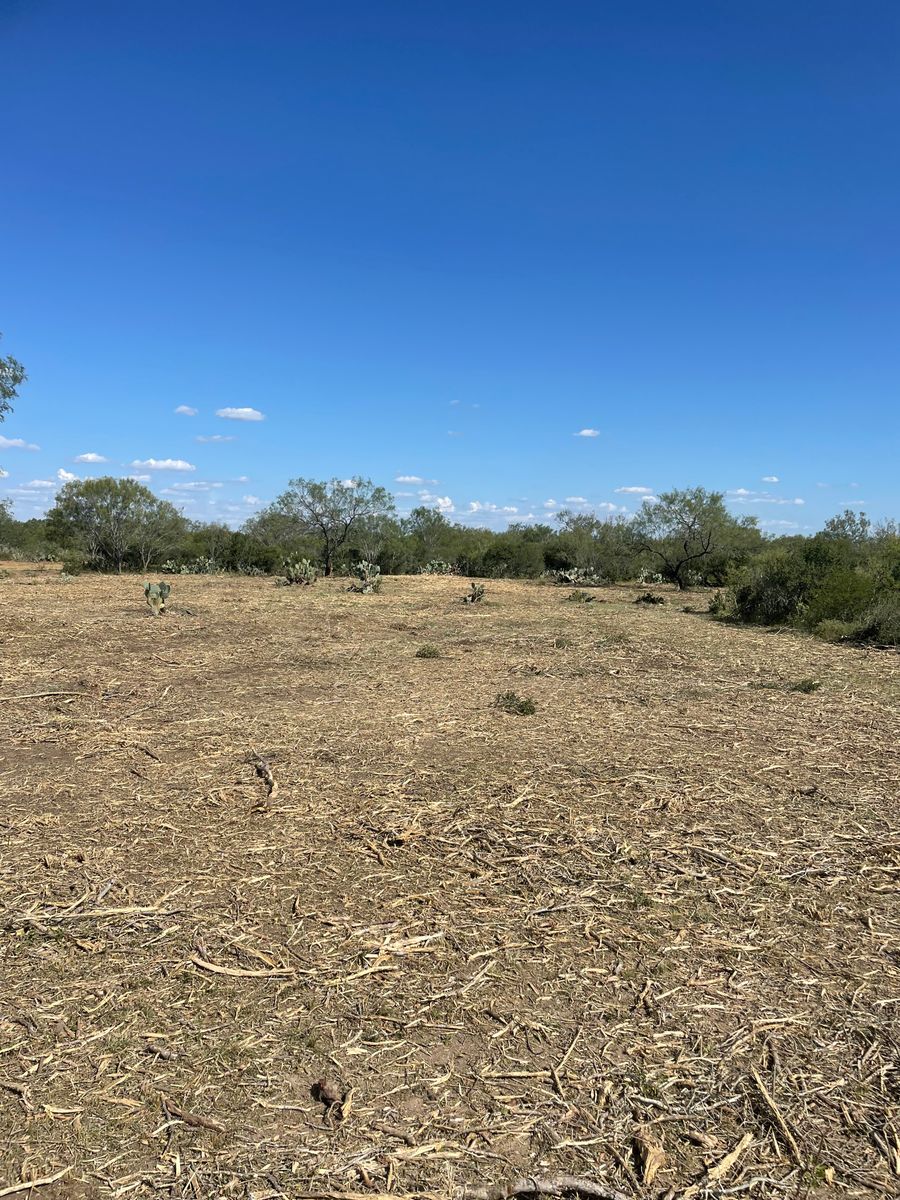 Land Clearing for TS Land Mangement in Bigfoot, TX
