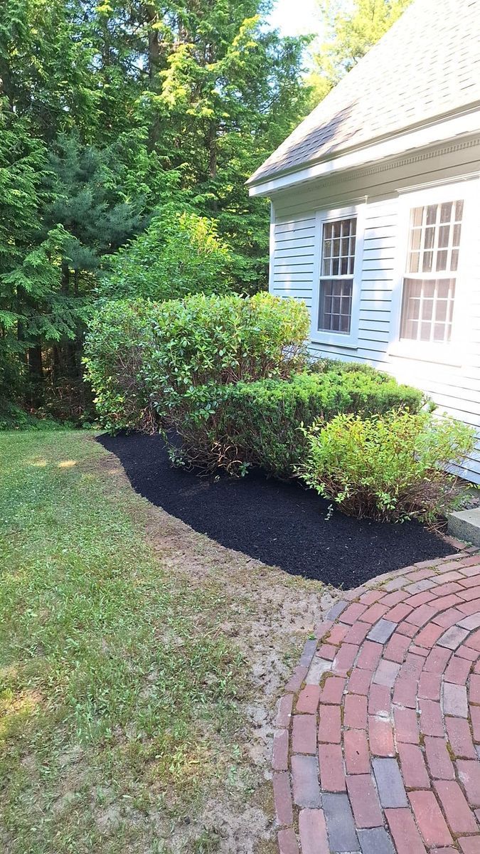 Shrub Trimming for Willett's Forest and Property Maintenance in 03278, NH