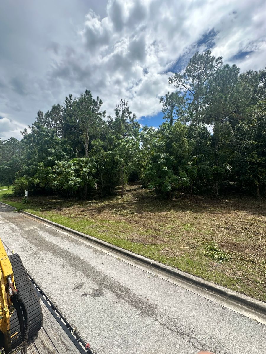 Tree Removal  for Orange Cypress Land Services in DeLand, FL