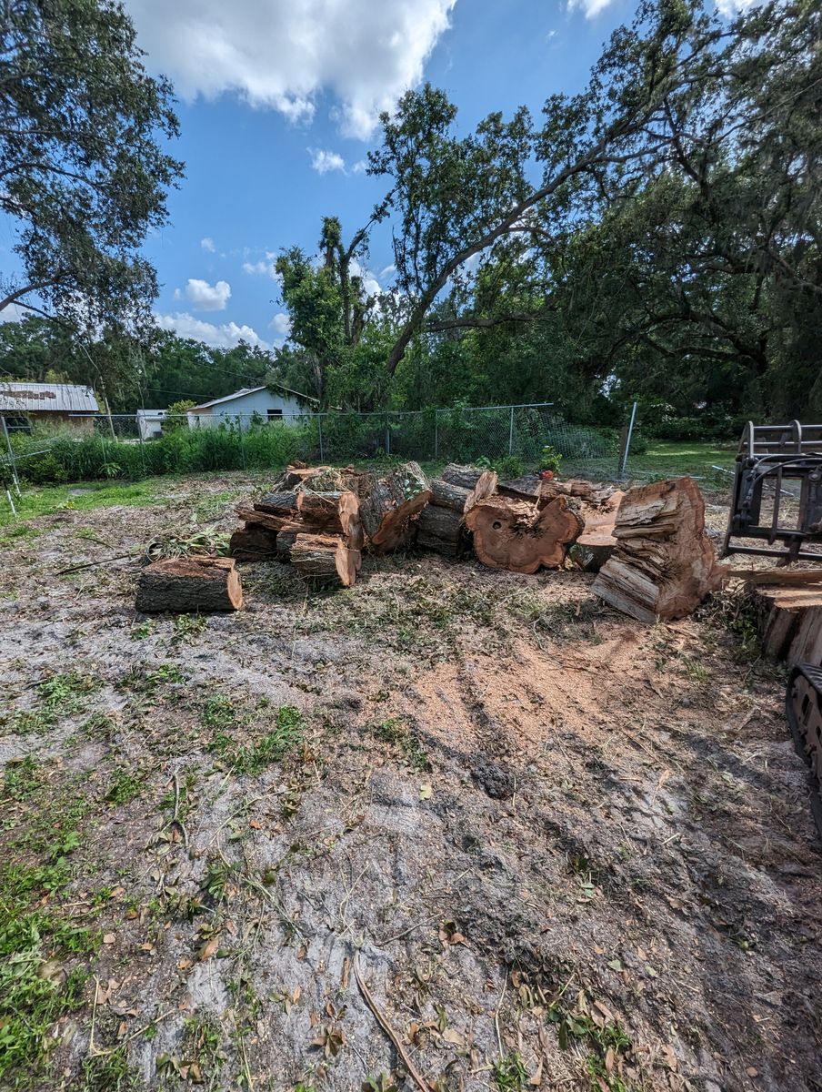Debris Removal for Regal Tree Service and Stump Grinding in Wauchula, FL