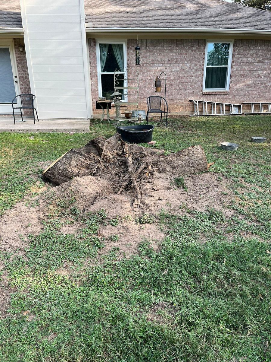 Tree Removal for Marks Tree Service in Fort Worth, TX