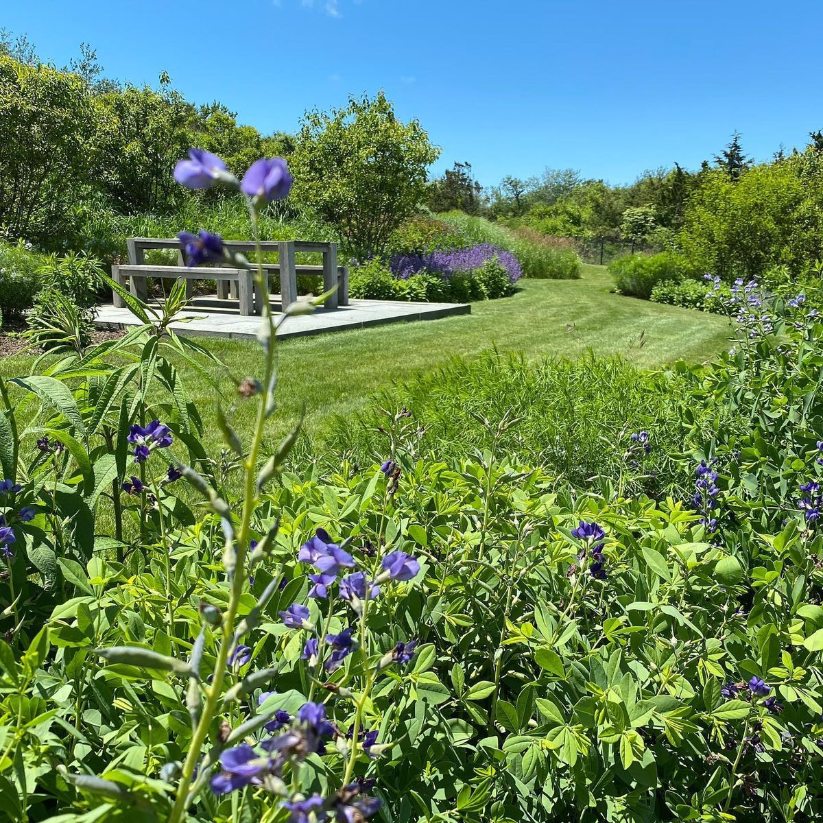 Landscape Design for RB Coastal Services in Sandwich, MA