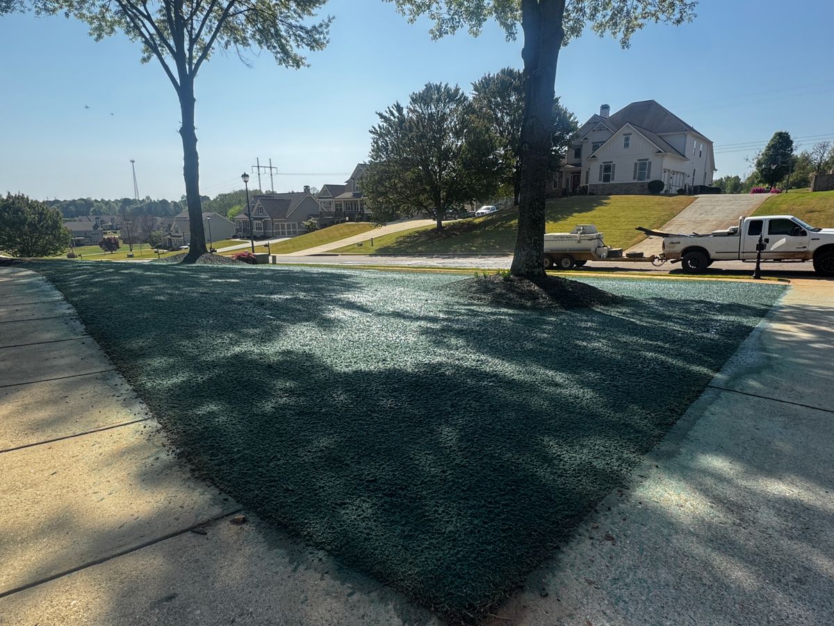 Hydroseeding for Deeply Rooted Lawns – Hydroseeding & Sod Installation Services in Winder, GA