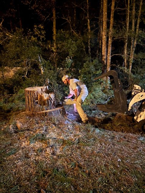 Stump Removal for Hawkins Tree Service & Land Management in Richmond Hill, GA