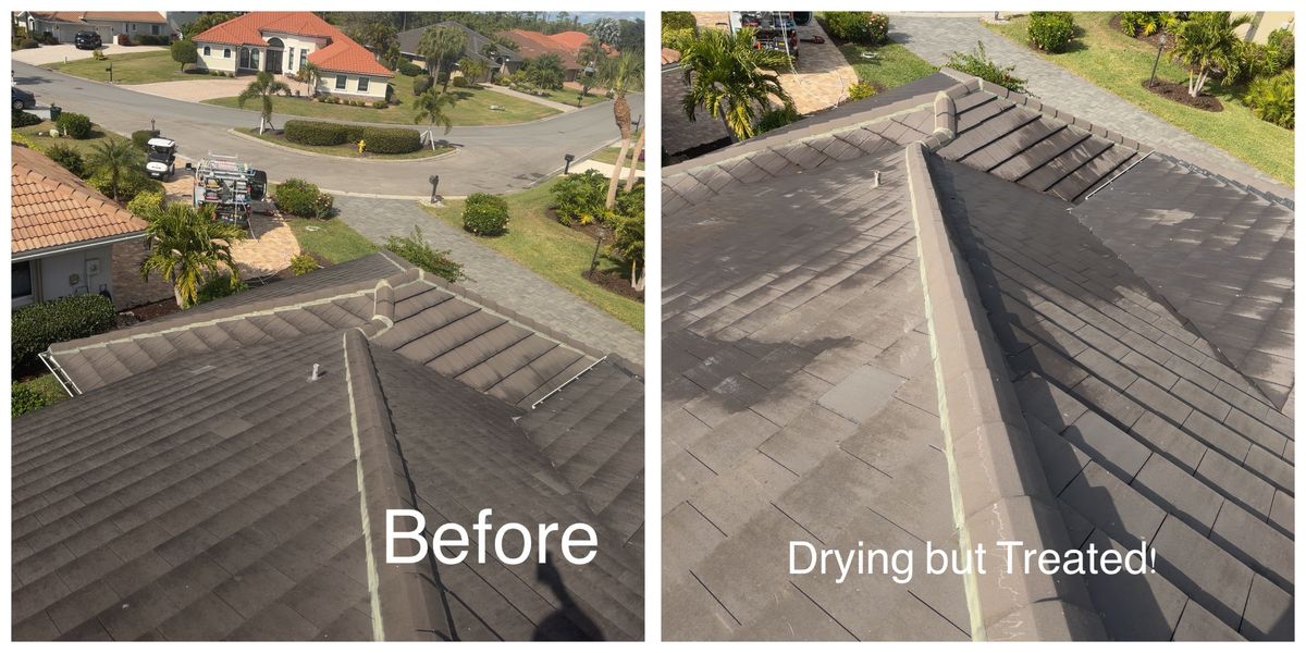 Roof Cleaning and power wash for My Soft Wash Guys in Venice, FL