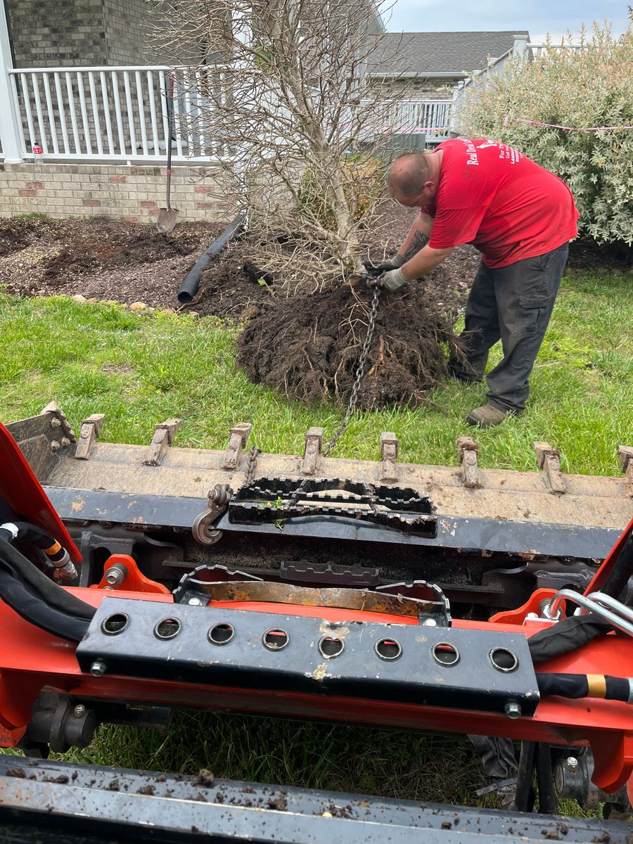 Tree Maintenance for Real Deal Lawn Care in Goodlettsville, TN
