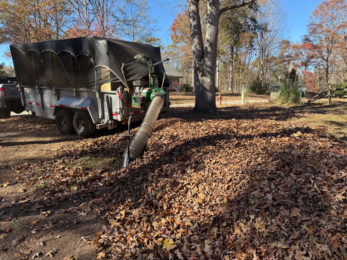 Leaf Removal & Cleanup for Dirt Pro Land Solutions in Fayetteville, GA