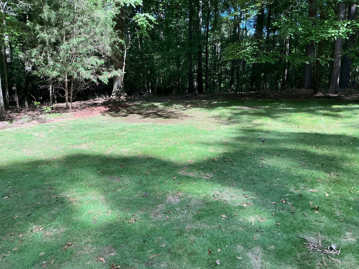 🌱 NB Sod Installation for New Beginning Landscape & Remodel LLC in Atlanta, GA